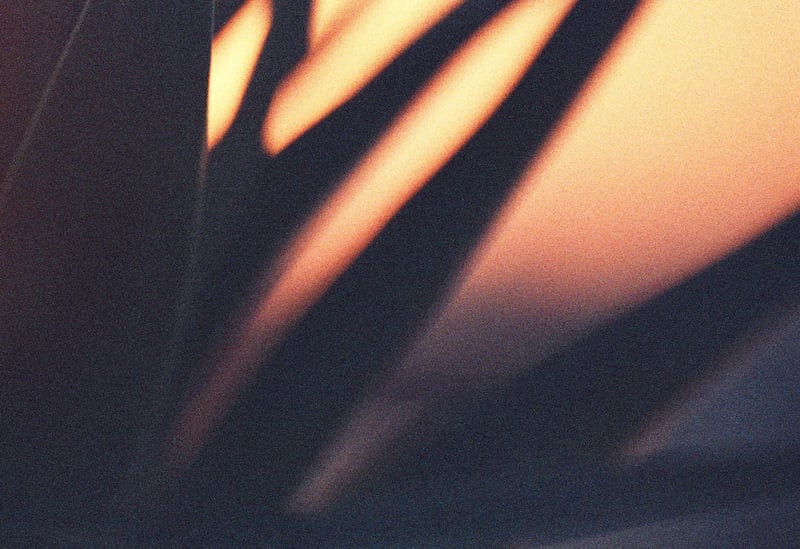 eighty-seven-park image 3