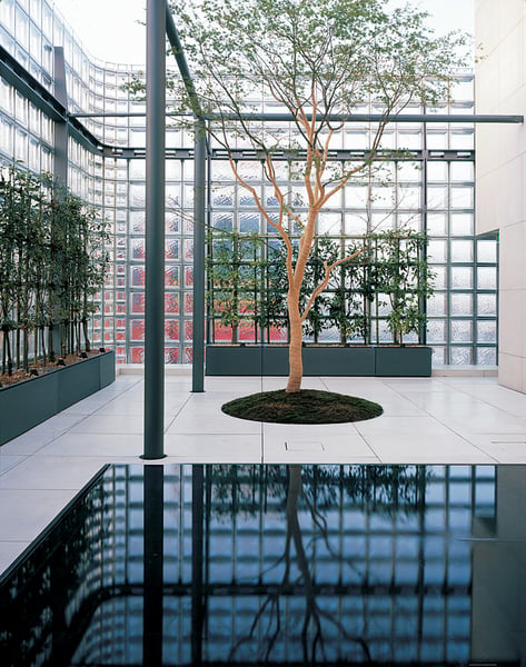 eighty-seven-park image 4